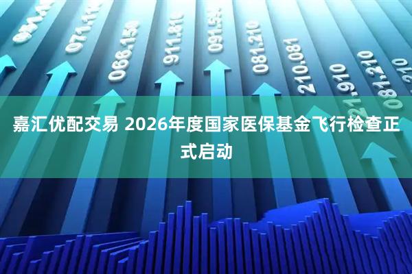 嘉汇优配交易 2026年度国家医保基金飞行检查正式启动