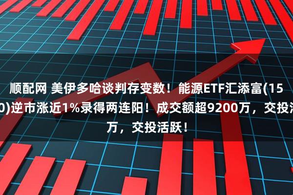 顺配网 美伊多哈谈判存变数！能源ETF汇添富(159930)逆市涨近1%录得两连阳！成交额超9200万，交投活跃！