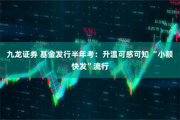 九龙证券 基金发行半年考：升温可感可知 “小额快发”流行